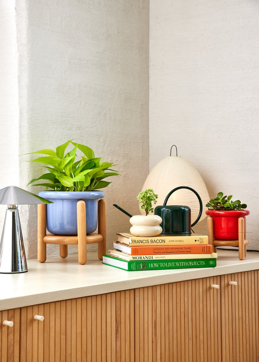 Fat Lip Planter Stand Combo, Cornflower