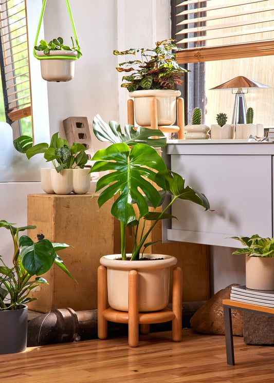 Fat Lip Planter Stand Combo, Oat