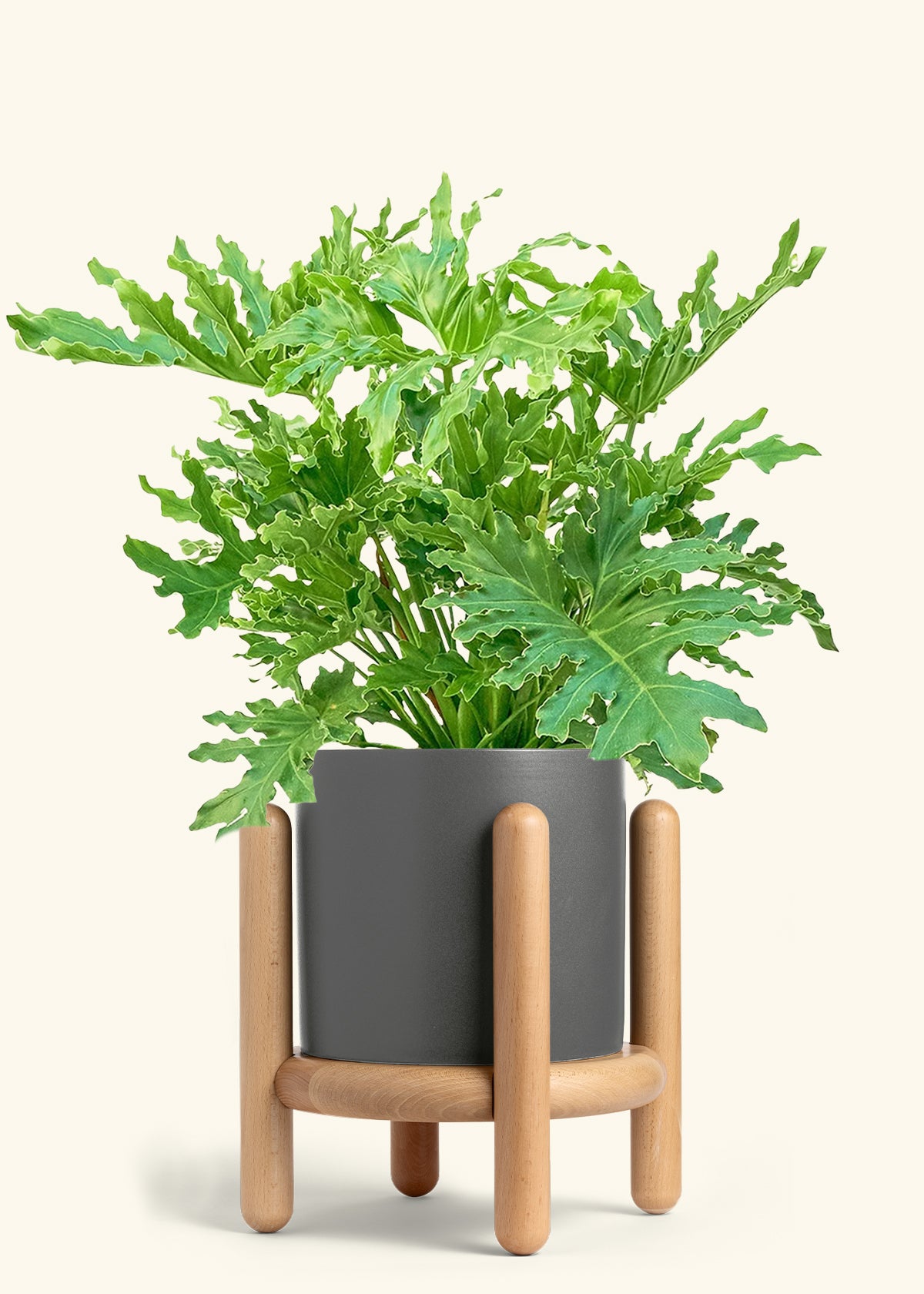 Classic Planter Stand Combo, Charcoal