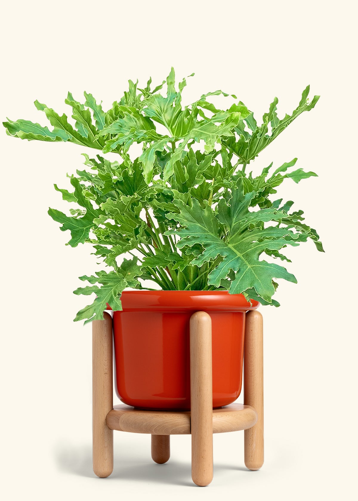 Fat Lip Planter Stand Combo, Poppy