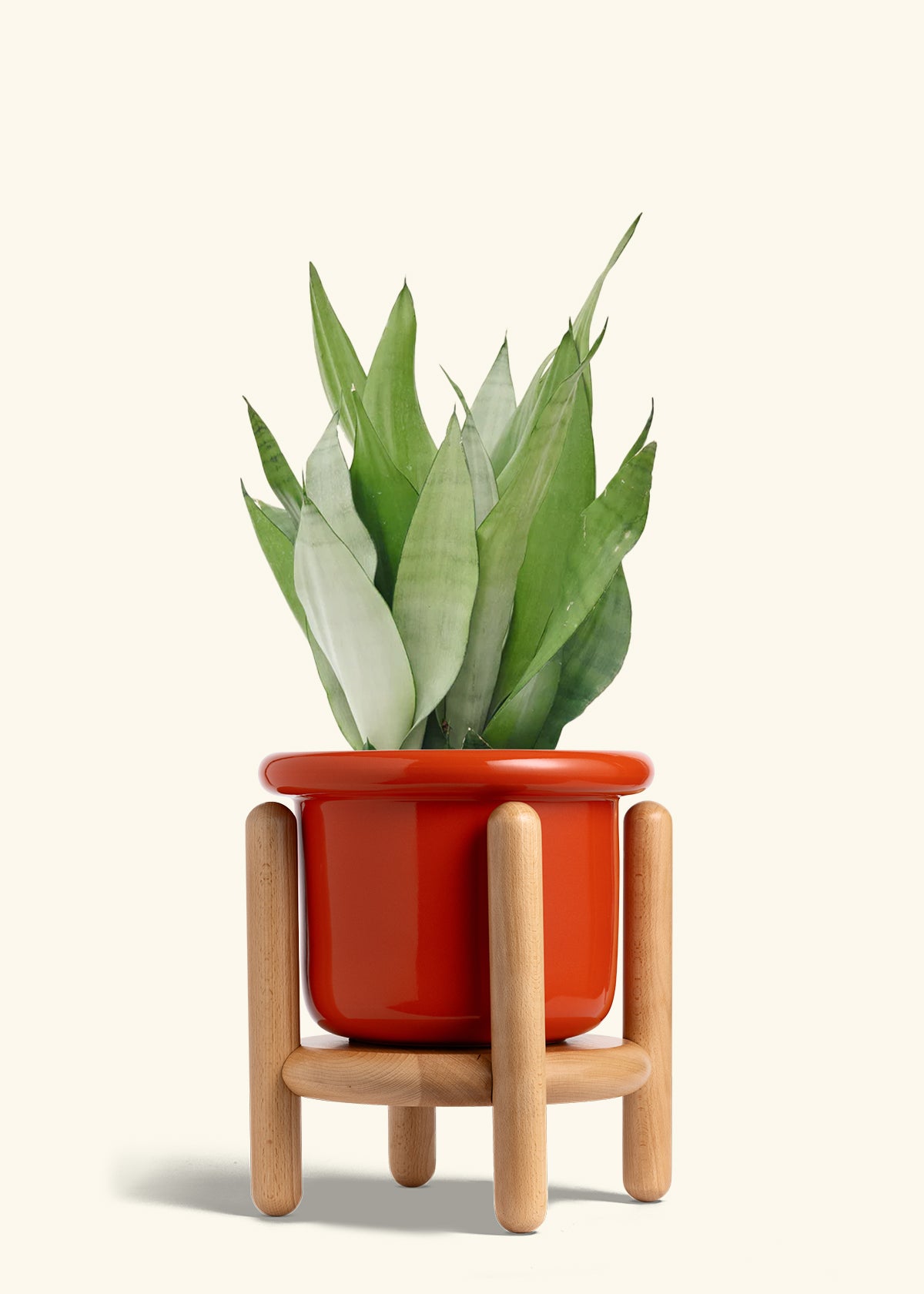 Fat Lip Planter Stand Combo, Poppy