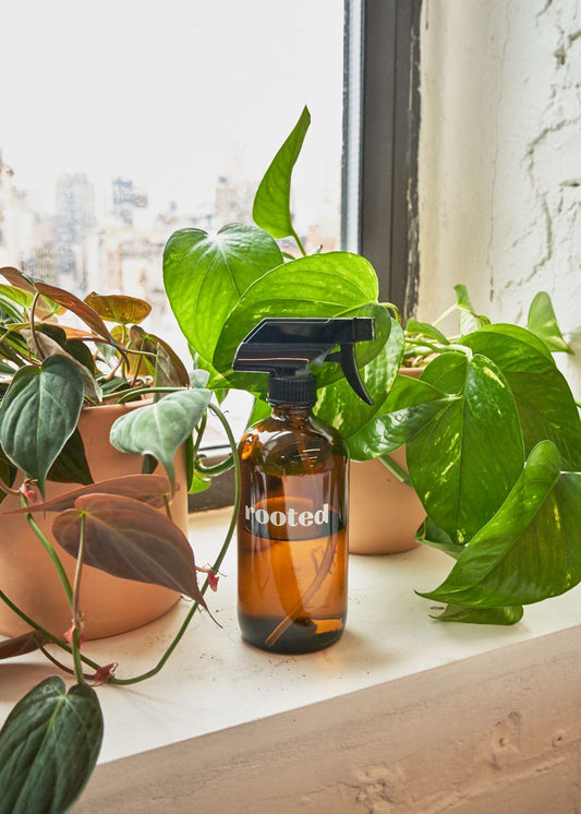 Spray Bottle Accessory Rooted