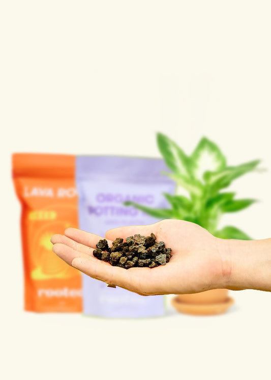 Organic Potting Mix for Arid and Lava