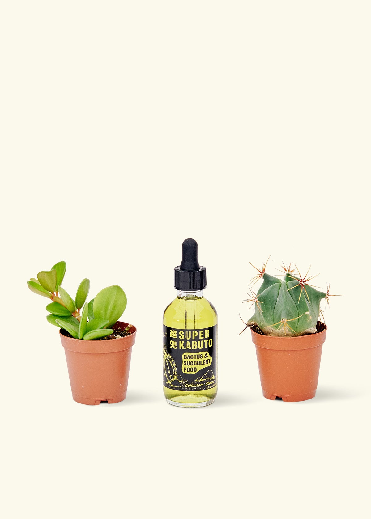 fertilizer cactus Super Kabuto Cactus Fertilizer – Hey Rooted