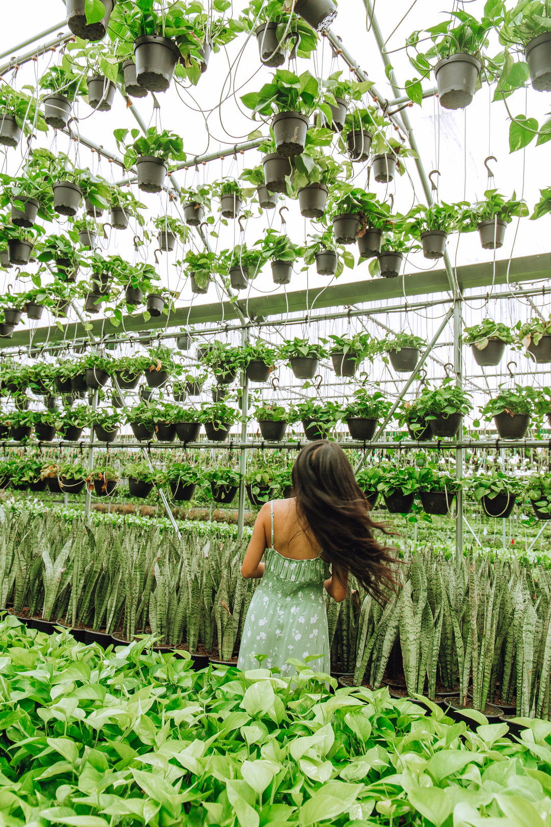 Grower's Plant Picks