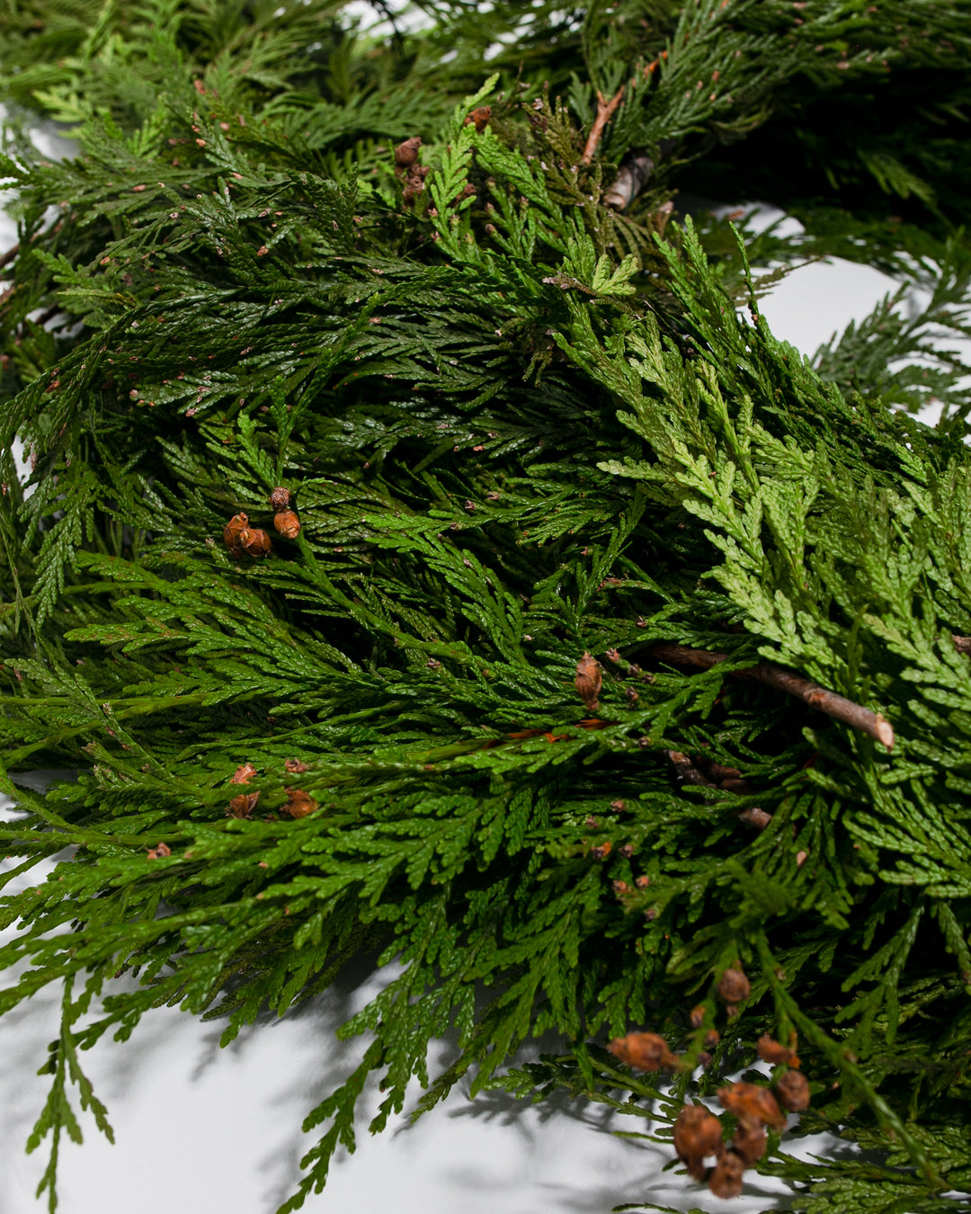 Fresh Cedar Holiday Garland