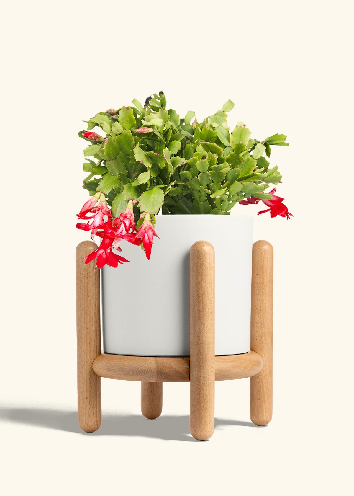 Classic Planter Stand Combo, Polar White