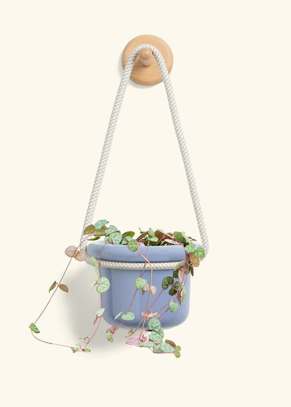 String of Hearts, Small