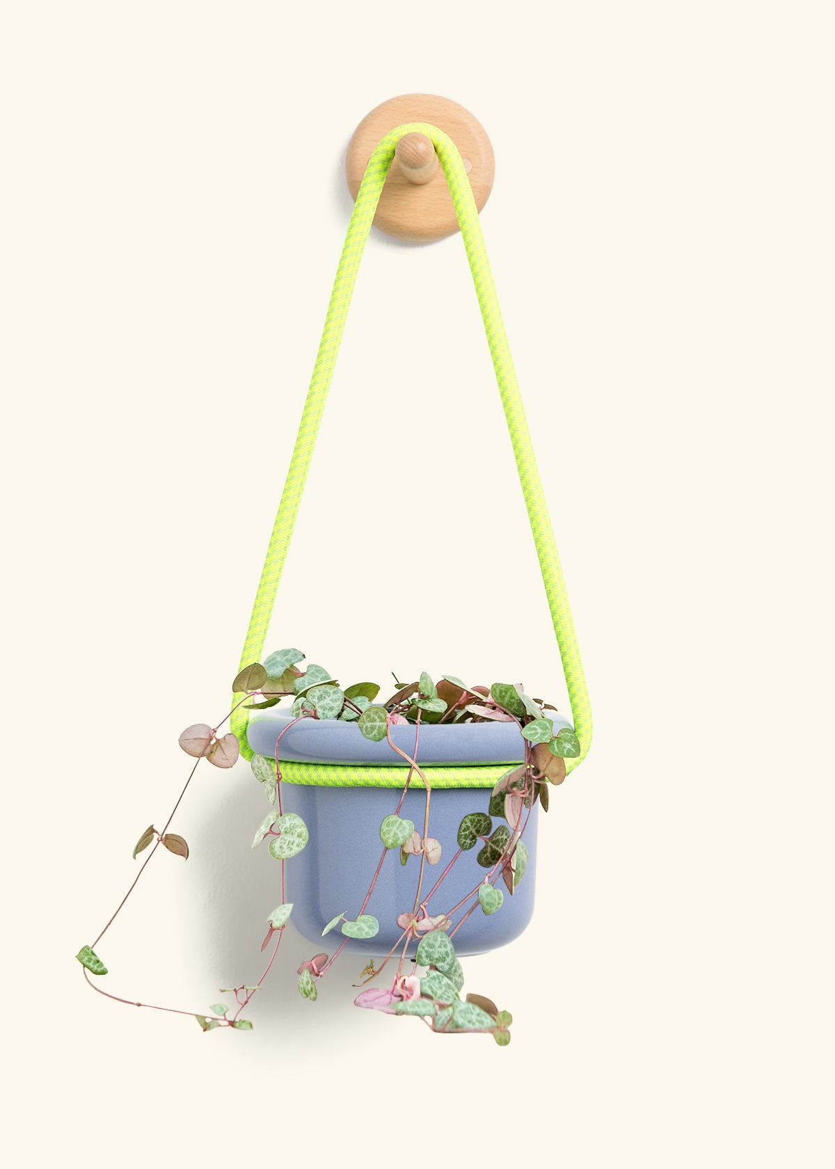 String of Hearts, Small