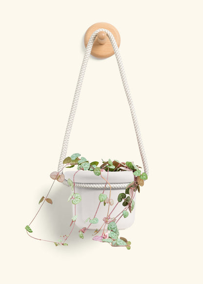 String of Hearts, Small