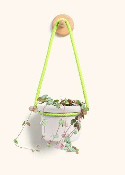 String of Hearts, Small
