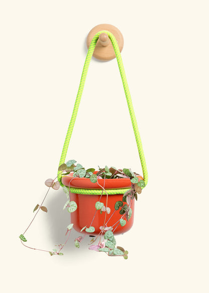 String of Hearts, Small