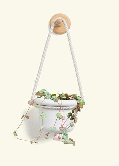 String of Hearts, Small