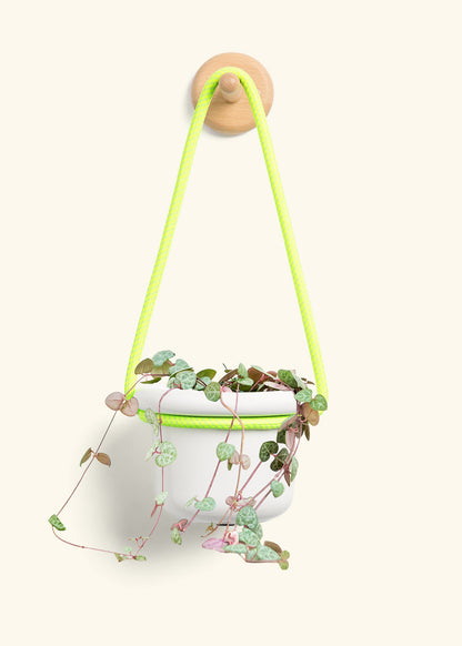 String of Hearts, Small