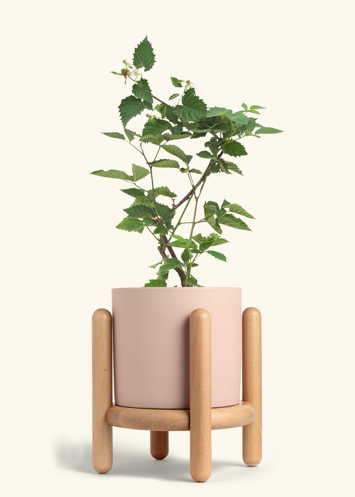 Classic Planter Stand Combo, Rose Pink