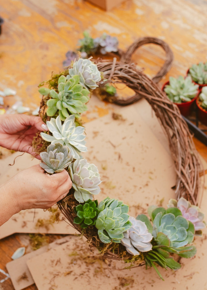 Handmade Succulent Wreath