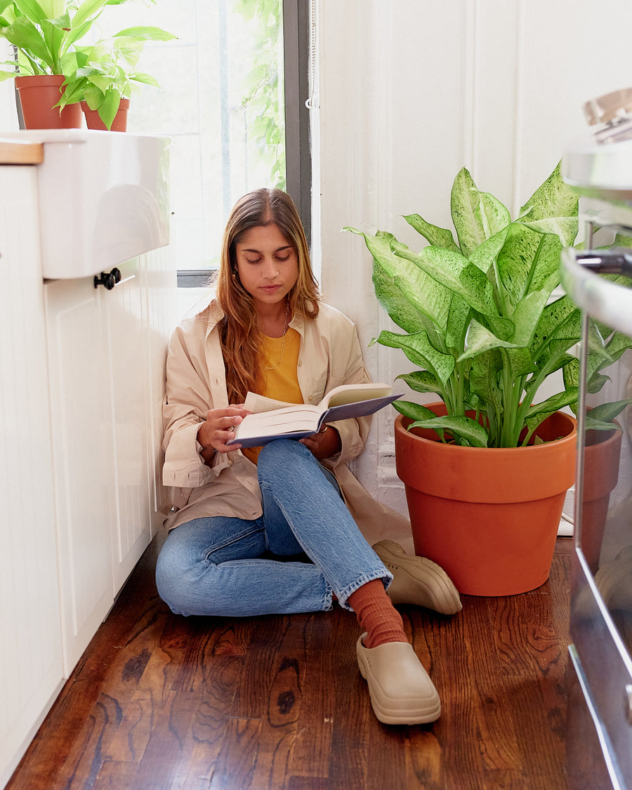 A person sitting on the floor next to a large potted houseplant as they read a book.