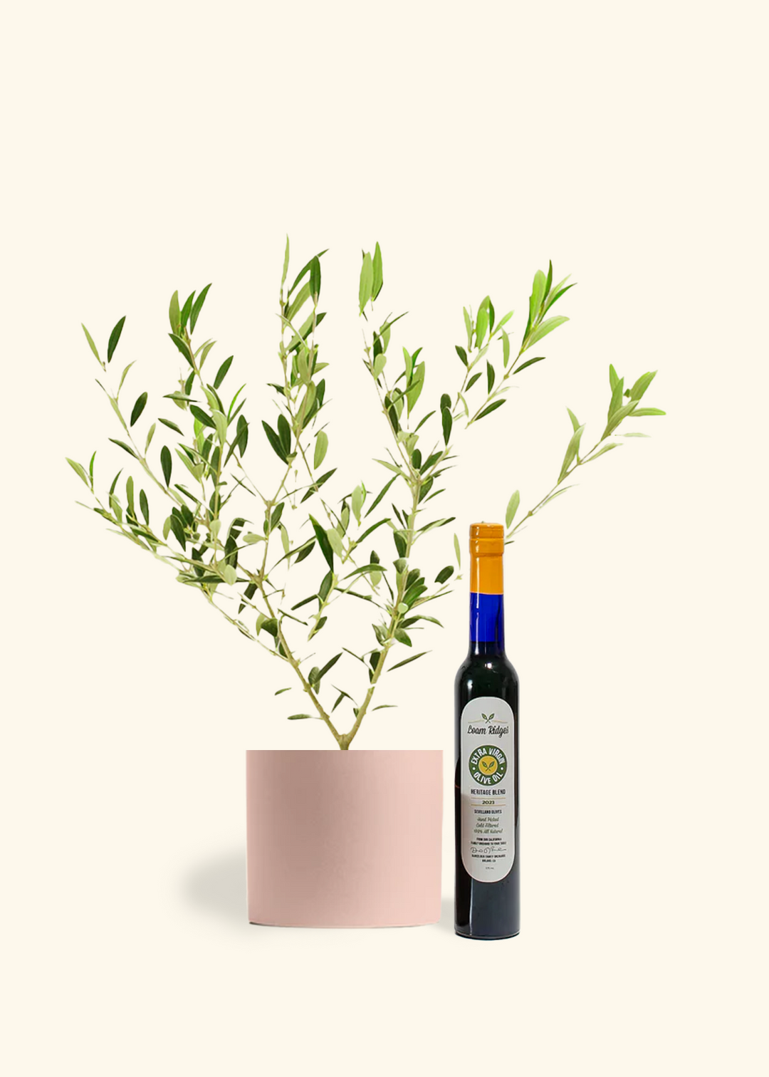 The Olive Lover's Bundle