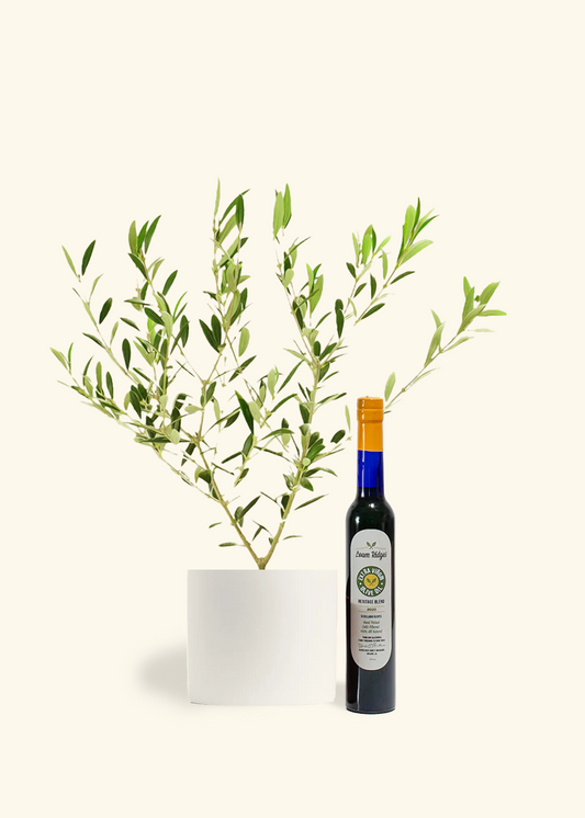 The Olive Lover's Bundle