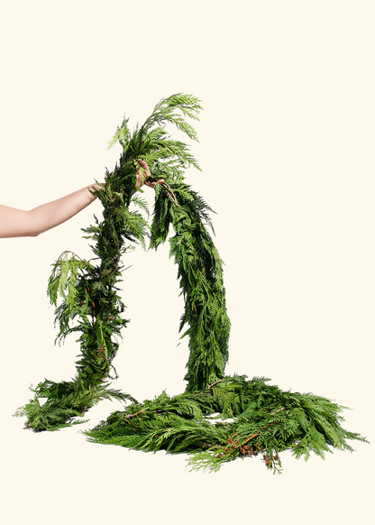 Fresh Cedar Holiday Garland