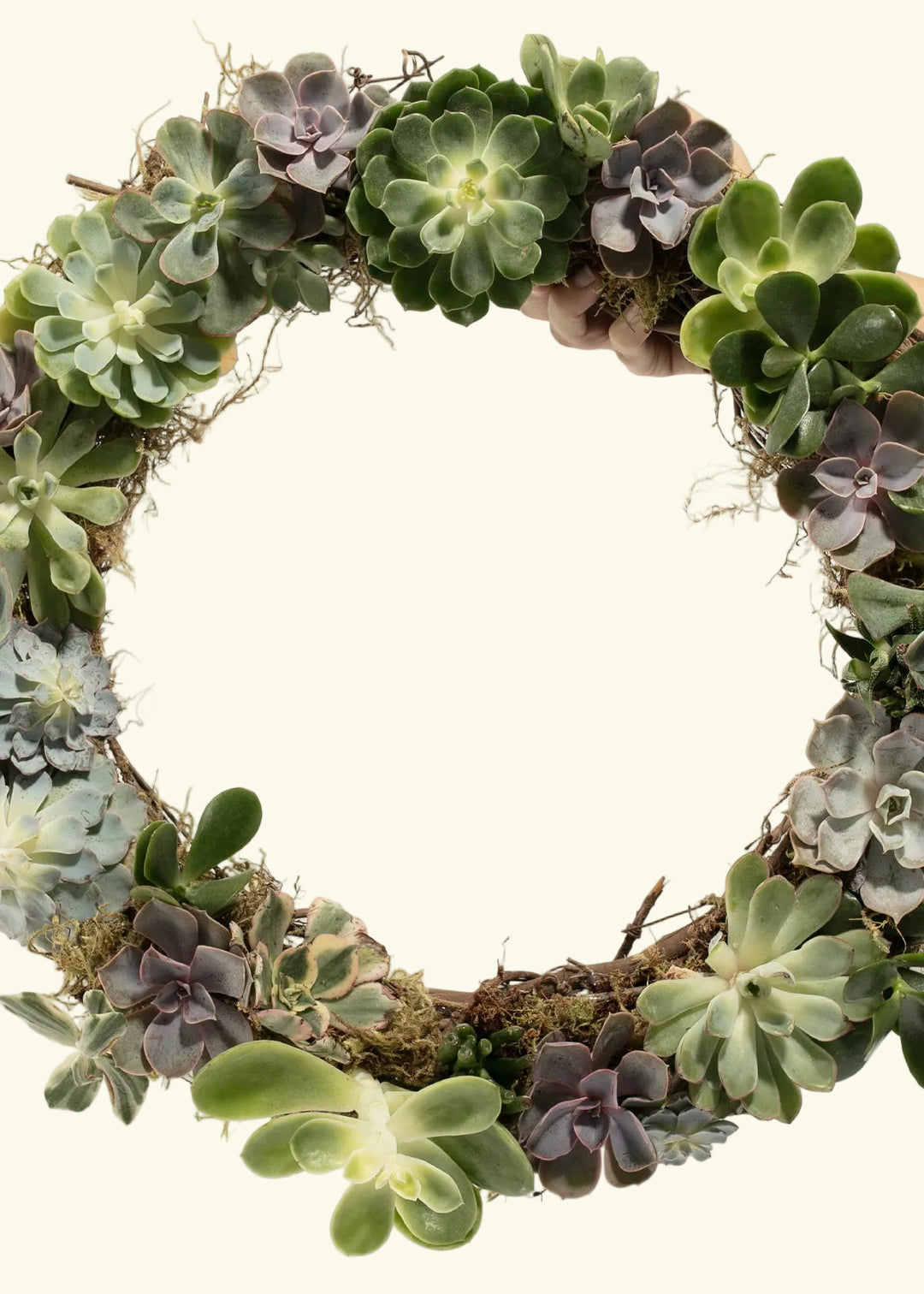 Handmade Succulent Wreath