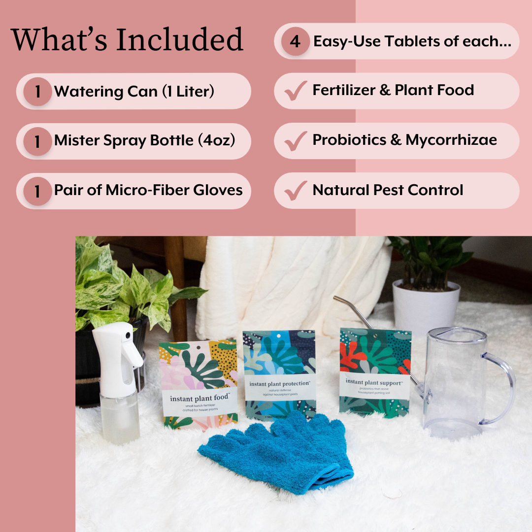 house plant pest control The ULTIMATE Plant Parent Bundle – Hey Rooted