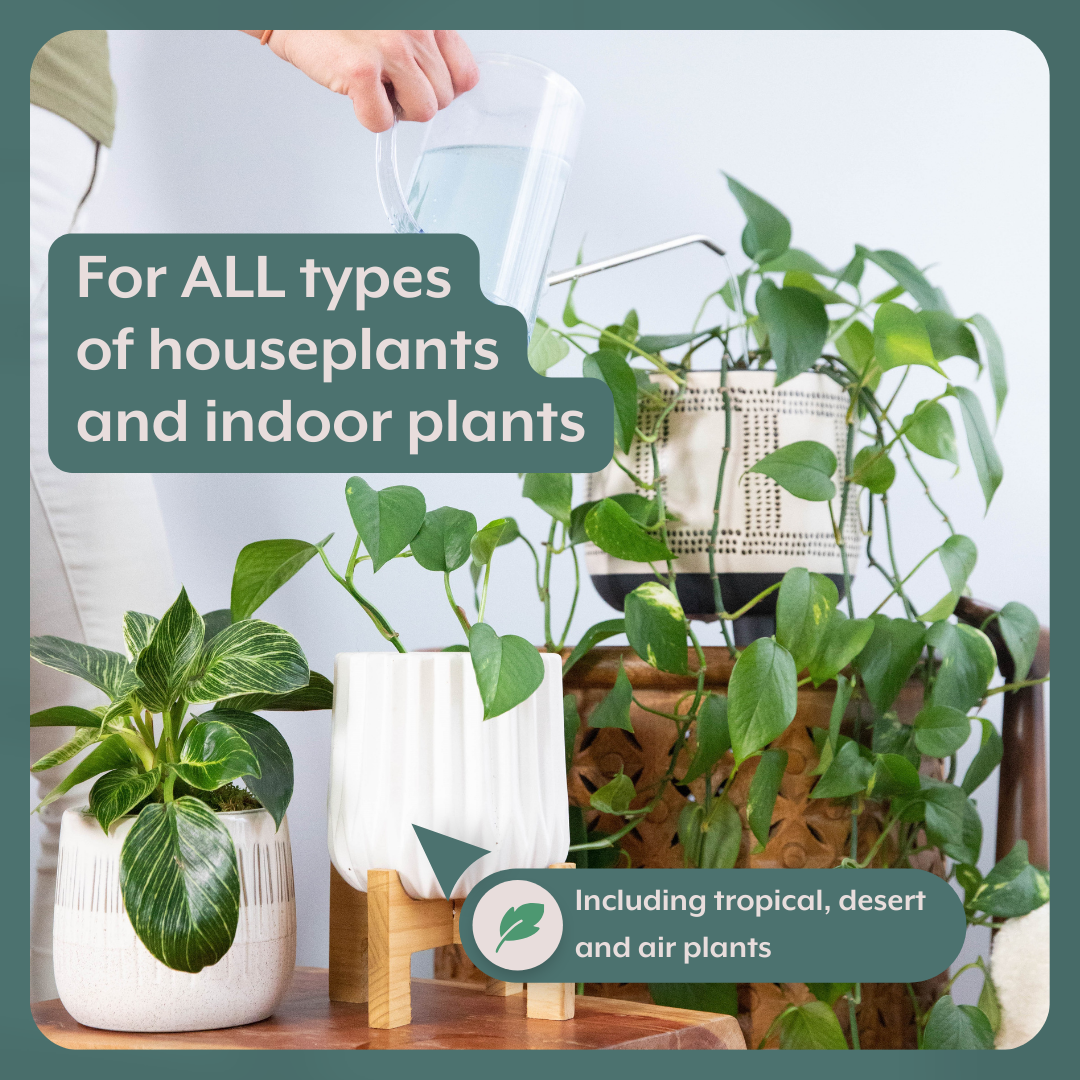 The ULTIMATE Plant Parent Bundle