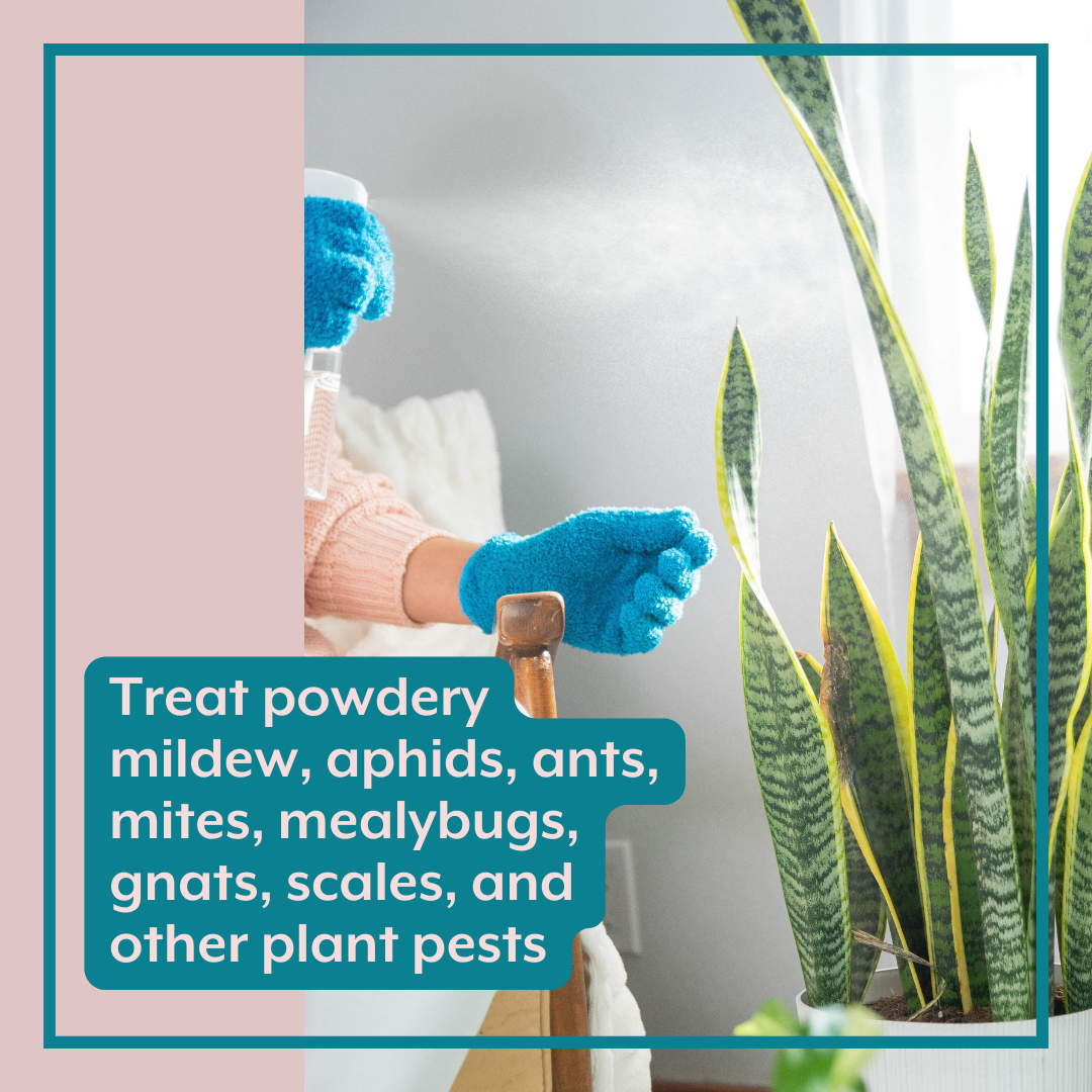 The Houseplant DEFENSE Bundle