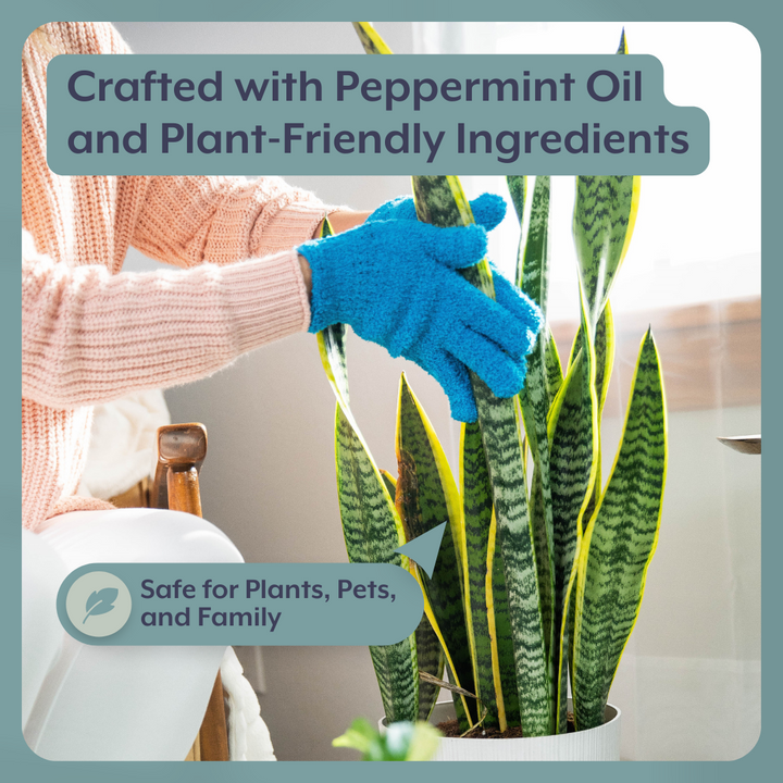 The ULTIMATE Plant Parent Bundle
