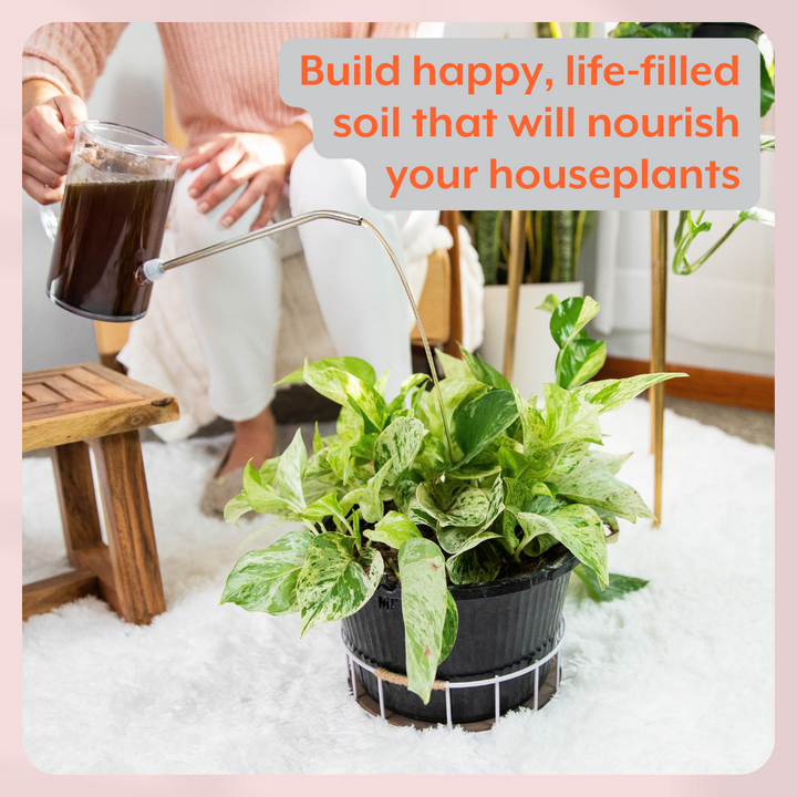 The ULTIMATE Plant Parent Bundle
