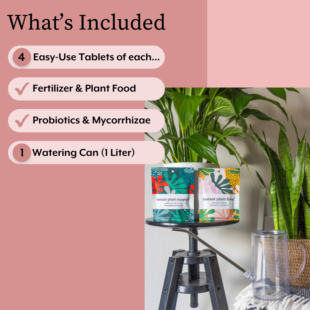 house plant feed The Houseplant GROW Bundle – Hey Rooted
