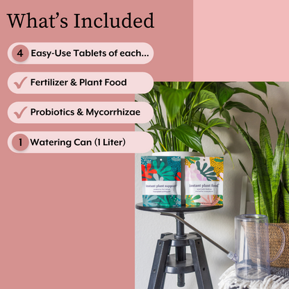 The Houseplant GROW Bundle