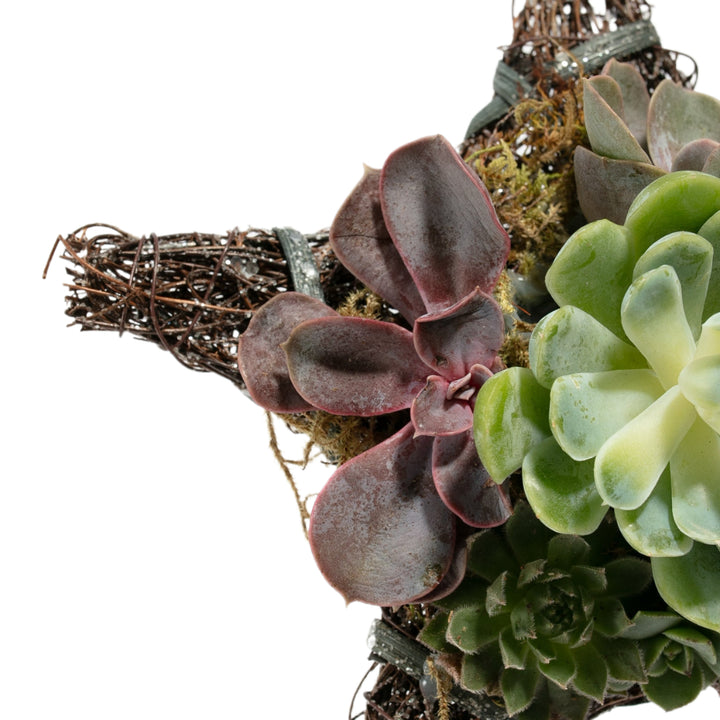 Handmade Succulent Star