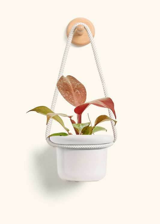 Hanging Fat Lip Planter, Oat