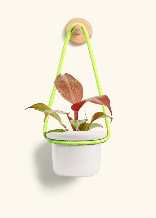 Hanging Fat Lip Planter, Oat