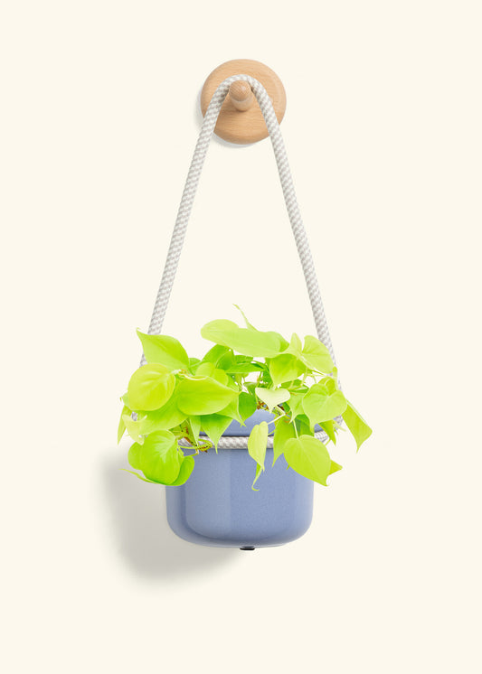 Hanging Fat Lip Planter, Cornflower