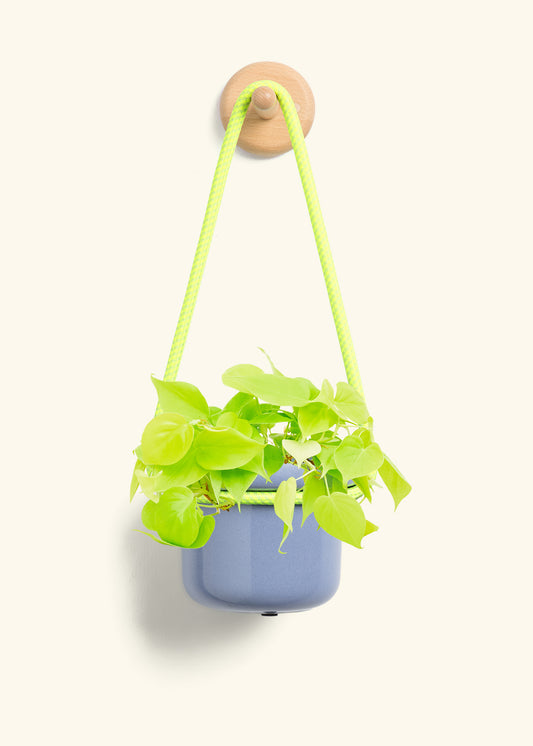 Hanging Fat Lip Planter, Cornflower