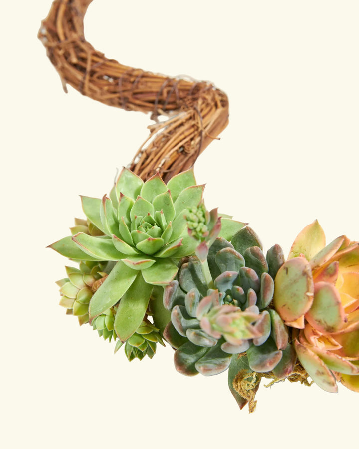 Handmade Succulent Heart Wreath