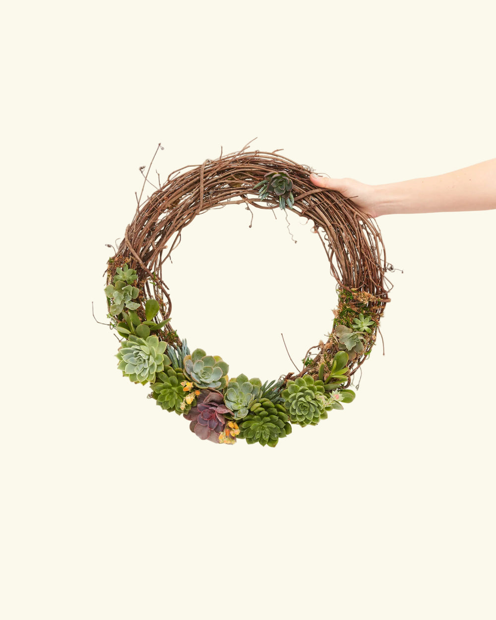 Handmade Succulent Wreath