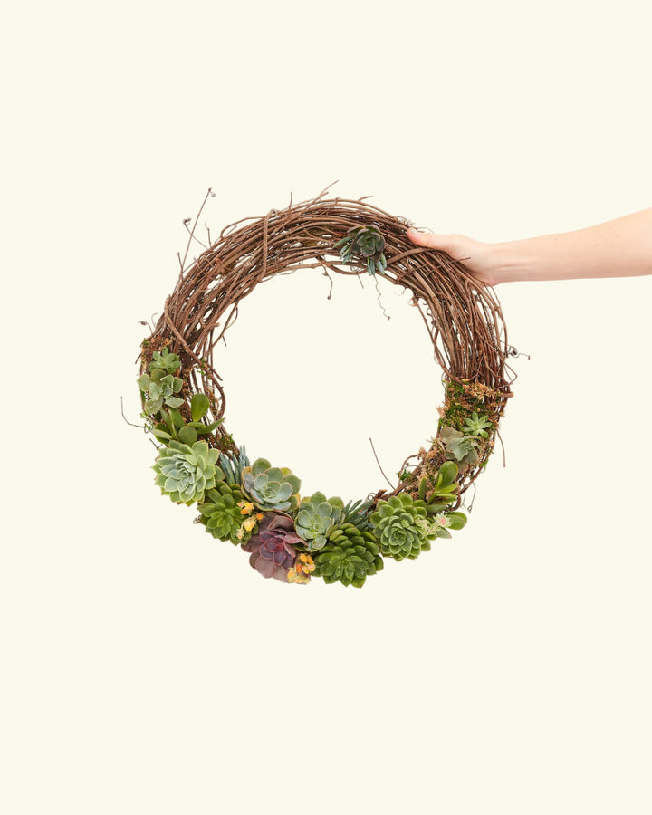 Handmade Succulent Wreath