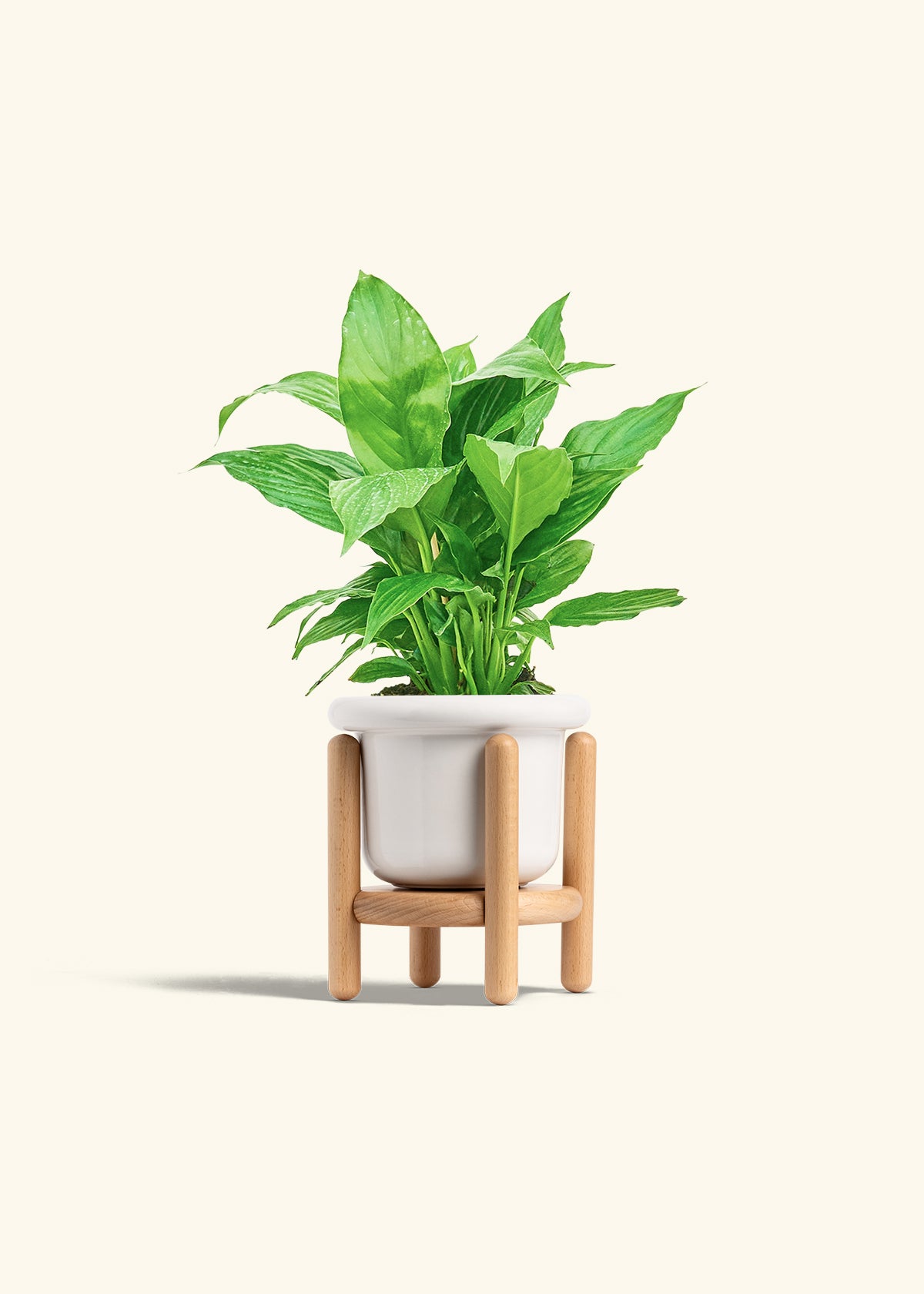 Fat Lip Planter Stand Combo, Polar White