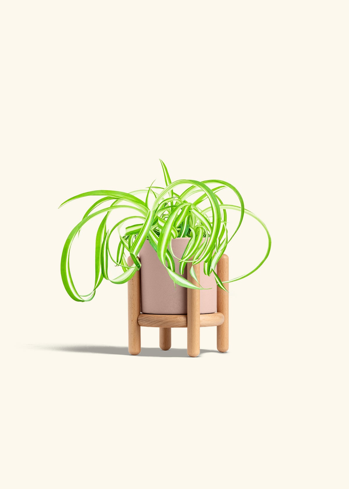 Classic Planter Stand Combo, Rose Pink