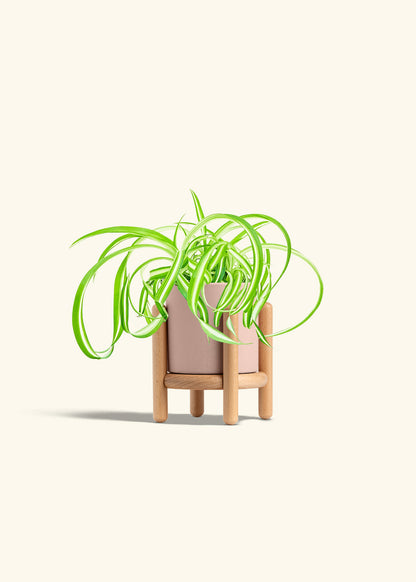 Classic Planter Stand Combo, Rose Pink