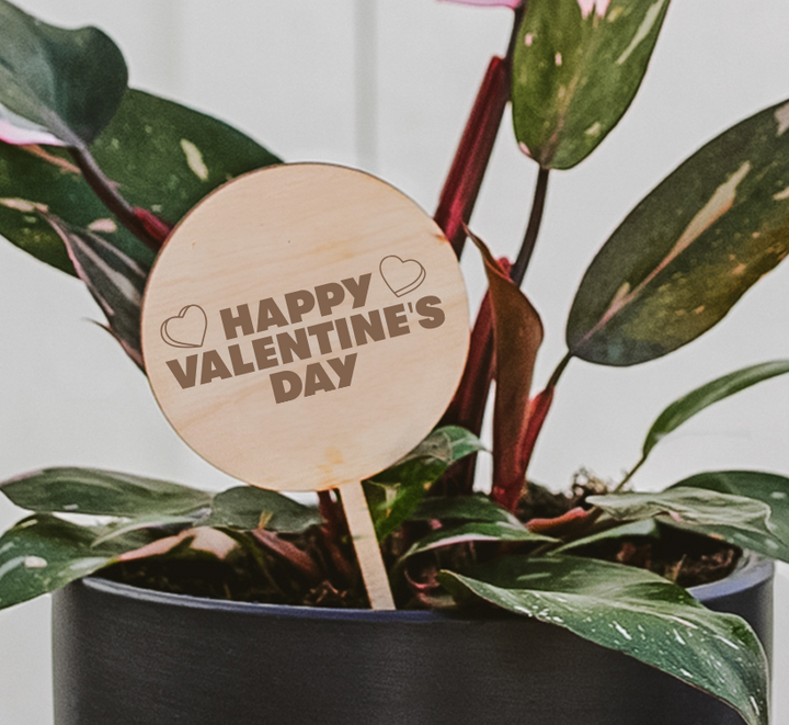 Valentine's Day Plant Pick