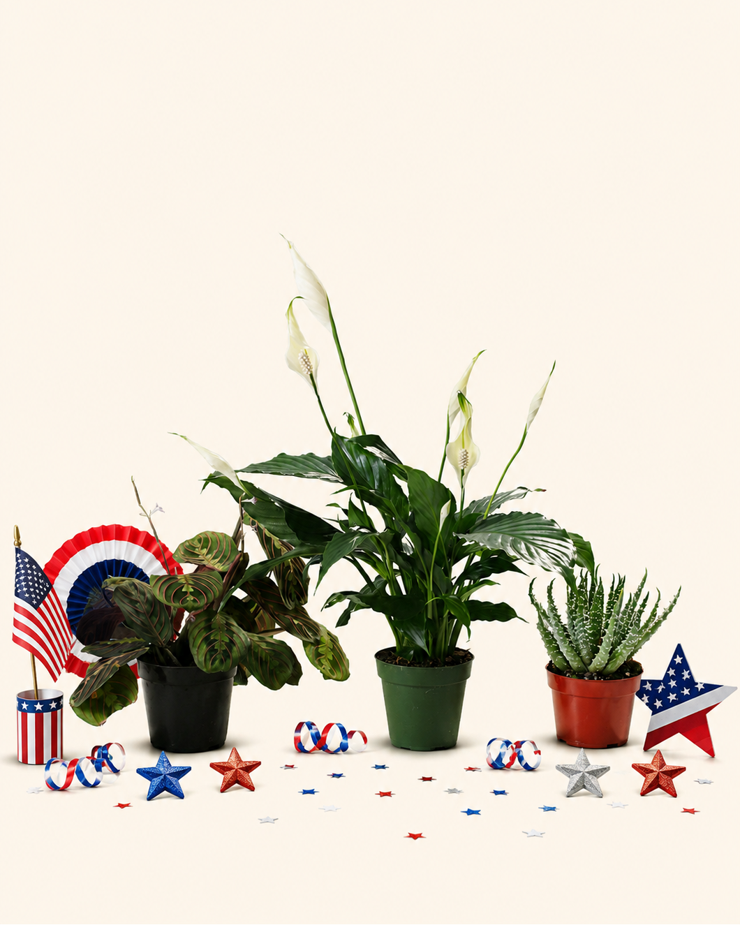The Patriotic Trio