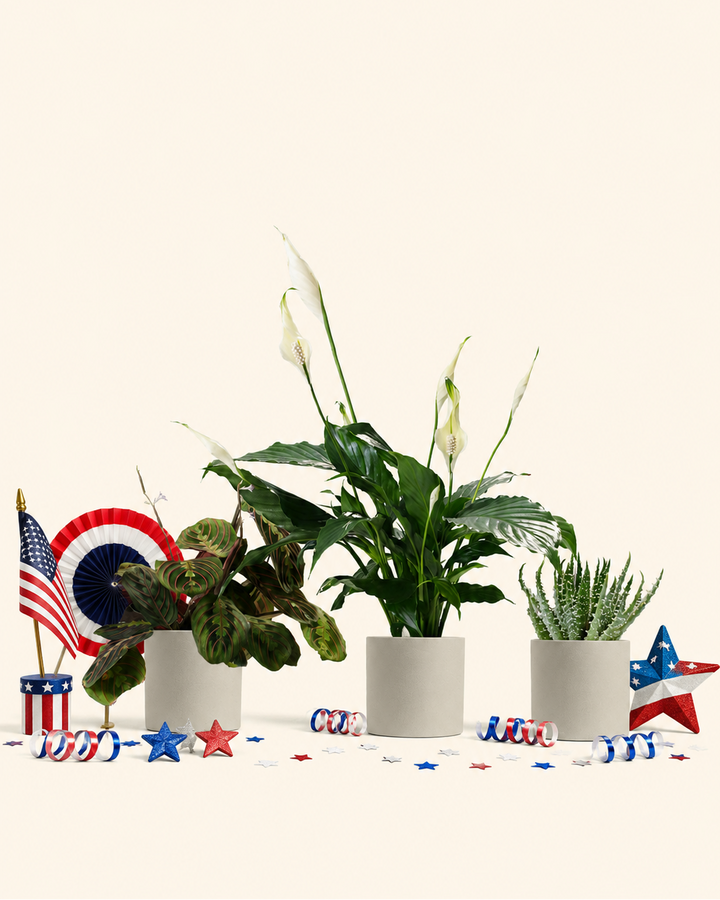 The Patriotic Trio