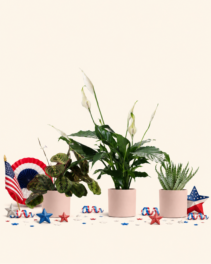 The Patriotic Trio