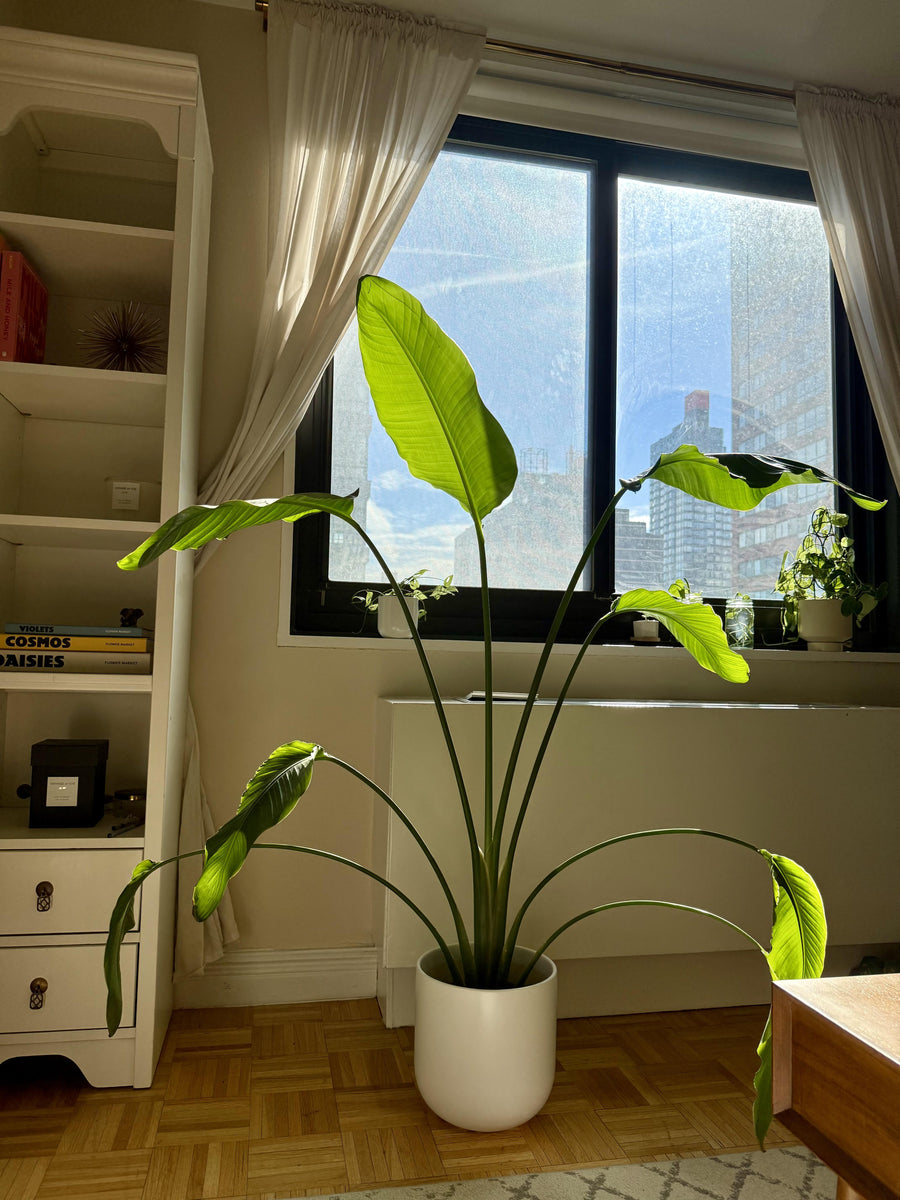 Review photo from Lizzie