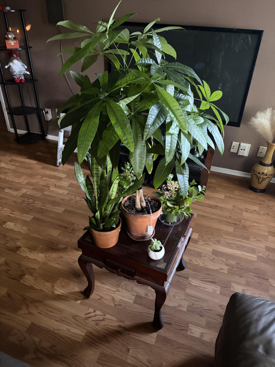 Review photo from Scott C.