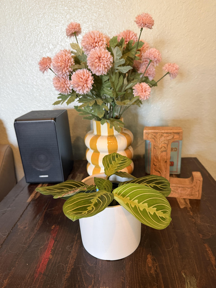 Review photo from Heather L.
